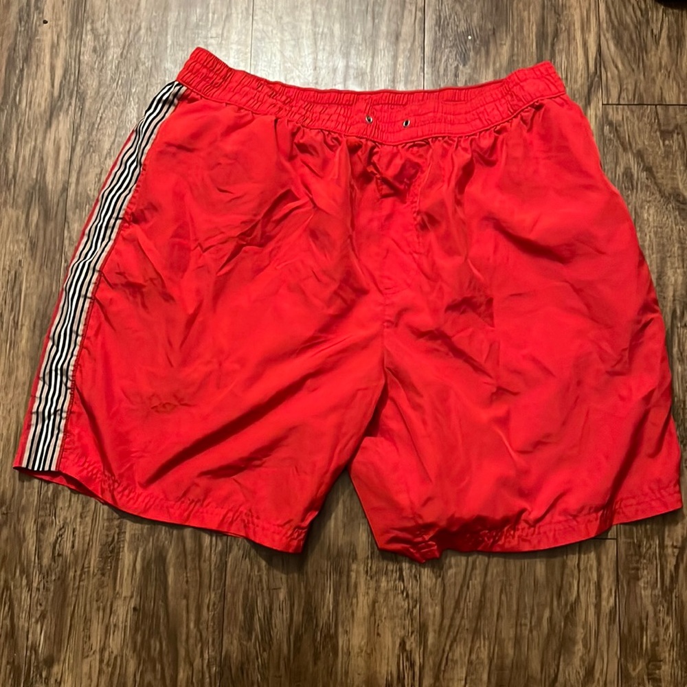 Burberry swim trunks